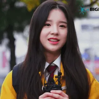 🌻 d76a81ec whatsapp sticker