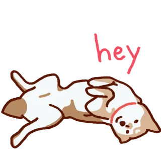 🎟 a16b3450 猫, 动物, 可爱, 贴纸, 宠物 telegram sticker