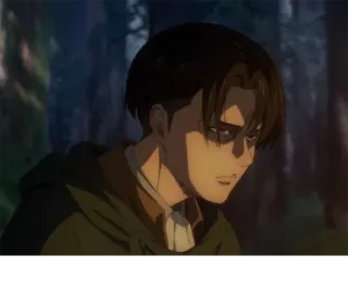 😕 2eb4925f Levi Ackerman Attack on Titan Levi, Ackerman, Attack on Titan, Anime, Manga, Charakter telegram sticker