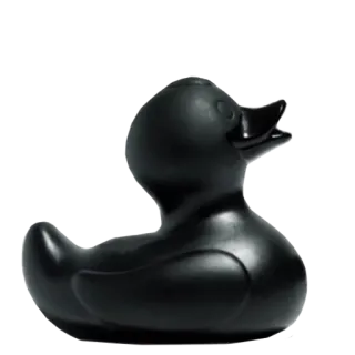 🐤 4f772175 canard, jouet, canard en caoutchouc, noir whatsapp sticker