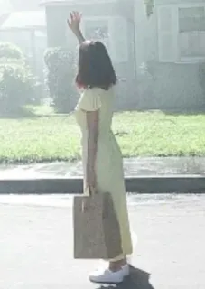 💫 d3243b8c woman, dress, waving, suburbs, farewell telegram sticker