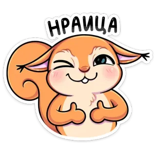 👍 8fab6e90 НРАИТСА scoiattolo, dito medio, offensivo, carino, animale telegram sticker