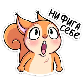 😦 df162588 НИ ФИГА СЕБЕ scoiattolo, cartone animato, adesivo, scioccato, sorpresa telegram sticker