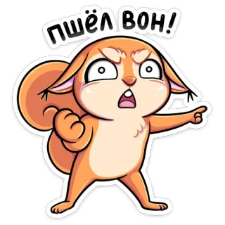😡 7400749f Пшёл вон! белка, злой, оскорбительный telegram sticker