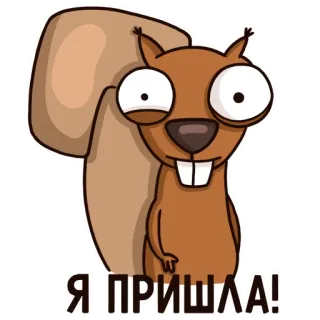 🤪 6a15236d Я ПРИШЛА! белка, мультфильм, животное, смешной, милый, русский telegram sticker