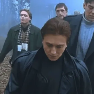 🌟 cf29d21d telegram sticker