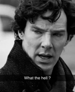 🤦‍♀ 22490348 What the hell ? ekspresi, kebingungan, pertanyaan, emosi, meme telegram sticker