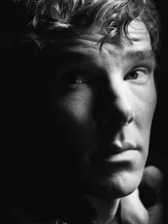 🤦‍♀ a25925e9 Benedict Cumberbatch potret, aktor, hitam putih, selebriti telegram sticker