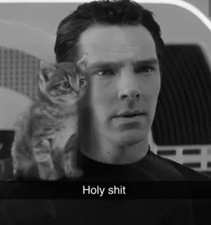 😕 e044facc Holy shit kucing, anak kucing, Benedict Cumberbatch, meme, kata kasar telegram sticker
