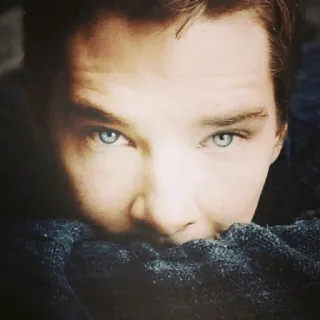 👁 c8ddfbca telegram sticker