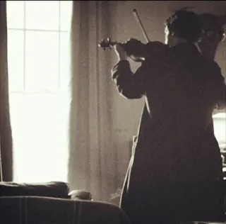 🎻 e363b94b biola, musik, instrumen, musisi, jendela, dalam ruangan telegram sticker