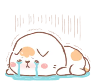 😭 ca4ab336 traurig, weinend, welpe, hund, emotion, tränen whatsapp sticker