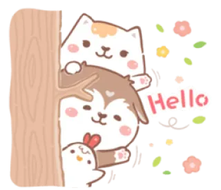 😃 e1522ed6 Hello Katze, Hund, Huhn, Tiere, süß, Gruß whatsapp sticker