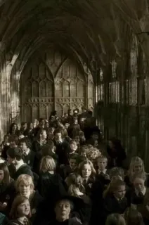 😵 018d8a19 โรงเรียน, นักเรียน, ทางเดิน, ฝูงชน, คน, ในร่ม telegram sticker