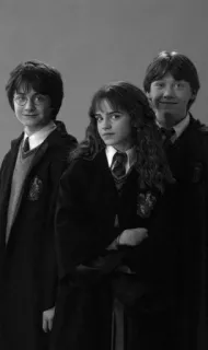 😎 12dcc159 Harry Potter แฮร์รี่ พอตเตอร์, เฮอร์ไมโอนี่ เกรนเจอร์, รอน วีสลีย์, ตัวละคร, เวทมนตร์, แฟนตาซี telegram sticker