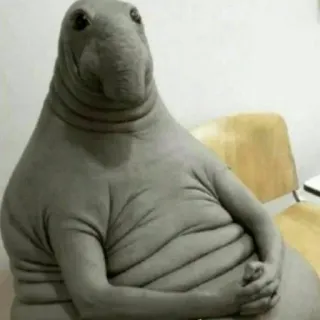 😐 08f8b4ae foca, animal, meme, gracioso, lindo, fauna telegram sticker