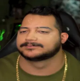 🐨 c221eeb2 telegram sticker