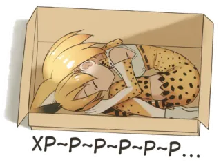 💤 a027369d XP~P~P~P~P~P... 애니메이션, 고양이 귀, 자는, 상자, 귀여운, 서벌, 케모노 프렌즈 telegram sticker