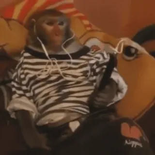 🎧 0bd36b99 macaco, fones de ouvido, animal, listras, relaxamento telegram sticker