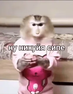 🌟 9be778fa ну нихуйя сипе macaco, animal, engraçado, meme, ofensivo, humor telegram sticker
