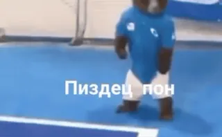 🌟 fa1e1220 Пиздец пон urso, linguagem ofensiva, palavrão, russo, animal, desenho animado telegram sticker