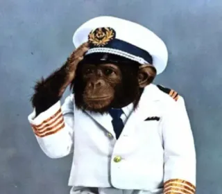 🦪 61fec5af 猿, キャプテン, 動物, 制服, 可愛い, 面白い telegram sticker