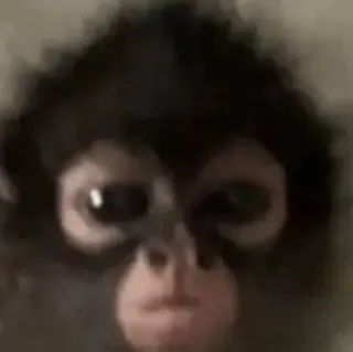 😠 c30f5568 telegram sticker