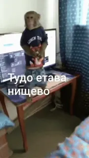 🌟 2d7edde4 Тудо етава нищево scimmia, computer, maglietta, jeans, animale, stanza telegram sticker