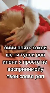 бибизяни [@zrklff] whatsapp stickers