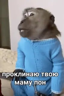 🌟 6a99a5a0 проклинаю твою маму пон scimmia, russo, offensivo, imprecazione, meme, testo telegram sticker