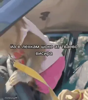 🌟 bbae73f8 їа в лехкам шоке ат тваево висира scioccato, scimmia, shock, animale, auto telegram sticker