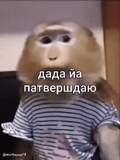 🌟 e1228b6a дада йа патвершдаю scimmia, affermazione, russo, meme, animale, divertente, carino telegram sticker