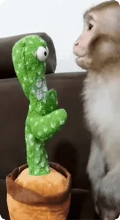 🌟 70aa23fa khỉ, xương rồng, động vật, đồ chơi, nhảy múa telegram sticker