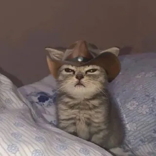 bichanos 🐱 telegram stickers