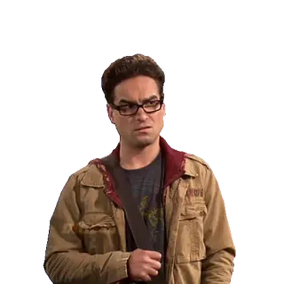 🤔 61b409cd Leonard Hofstadter The Big Bang Theory programa de tv, sitcom, leonard, óculos, personagem telegram sticker