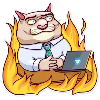 🔥 698517c1 猫, ビジネス, 火, オフィス, ノートパソコン telegram sticker
