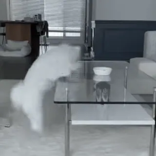 🤩 94d164d7 кот, прыжок, стол, домашнее животное, животное, домашний telegram sticker