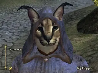 🌟 f7456398 Big Floppa Rumors
Big Floppa cat, animal, floppa, caracal, meme whatsapp sticker