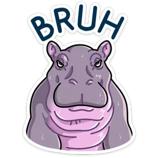 😐 deba3181 BRUH 河马, 动物, 卡通, 兄弟, 表情, 梗, 搞笑 telegram sticker