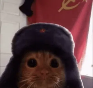 😁 0b258cf5 cat, soviet, ussr, hat, communism telegram sticker
