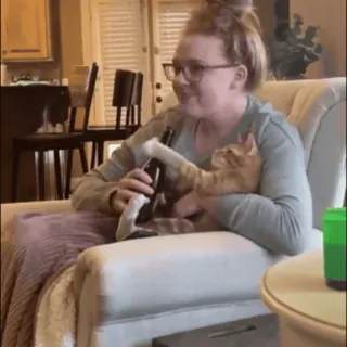 😱 9f6d0716 cat, woman, armchair, indoors, pet, mammal, furniture telegram sticker