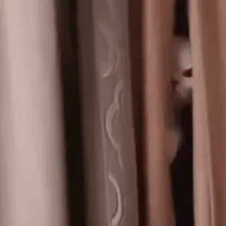 😡 ae8dd5d4 telegram sticker