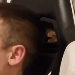 😝 f9258944 telegram sticker