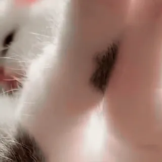 💋 8d7ea372 telegram sticker