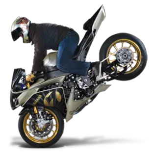 😱 07b306f4 мотоцикл, вилли, мотоцикл, спортбайк, мототрюки, золотые диски telegram sticker