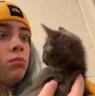 🕸 dc953afb Billie Eilish 人物, 猫, 子猫, 歌手, 有名人 whatsapp sticker