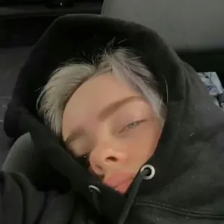 😴 235be82d Billie Eilish Billie Eilish, penyanyi, selebriti, hoodie, potret telegram sticker