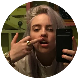 🖕 bf2344f1 Billie Eilish 가수, 유명인, 여자, 초상화, 불쾌한 몸짓 telegram sticker