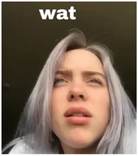 🤨 d8259b1f Billie Eilish wat 빌리 아일리시, 뭐?, 밈, 웃긴, 유명인, 가수 telegram sticker