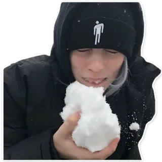 🌬 d28c3d15 눈, 겨울, 먹기, 빌리 아일리시, 눈덩이 whatsapp sticker
